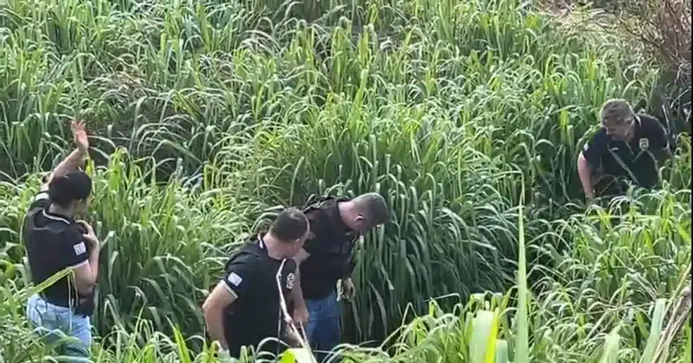 Noticias de Araras | 27/10/23 Plantão Policial - Confira as Principais Notícias com o Repórter Beto Ribeiro Noticias de Araras | 27/10/23 Plantão Policial - Confira as Principais Notícias com o Repórter Beto Ribeiro