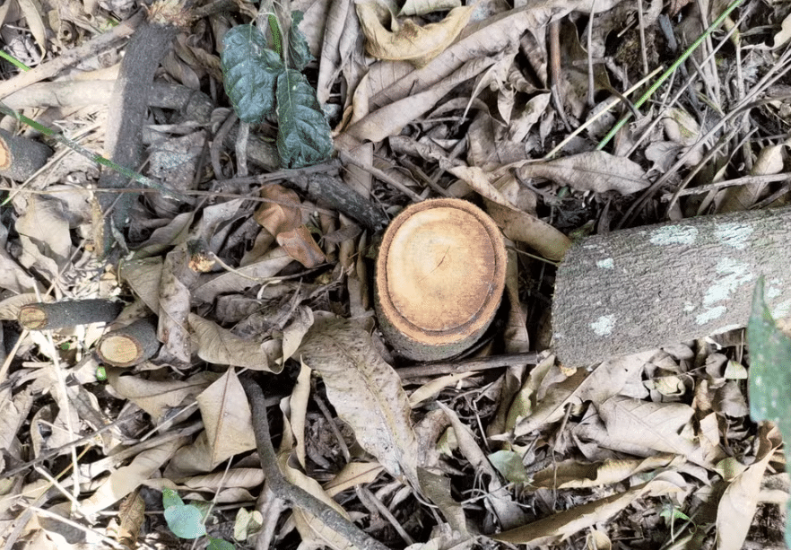 Noticias de Araras | 19/01/24 Plantão Policial - Confira as Principais Notícias com o Repórter Beto Ribeiro