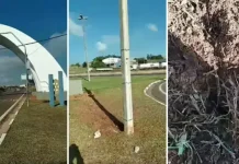 INACREDITÁVEL! Portal Turístico sofre novo furto de fiação em Araras, SP