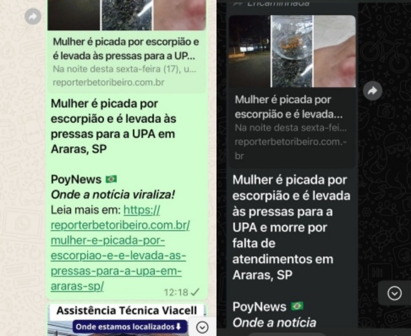 Noticias de Araras | É #FAKE que uma mulher picada por escorpião e levada às pressas para a UPA tenha morrido por falta de atendimento em Araras, SP