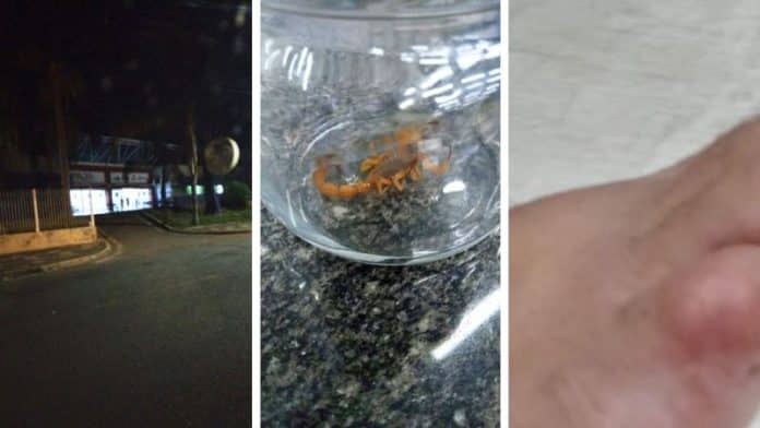Mulher é picada por escorpião e é levada às pressas para a UPA em Araras, SP