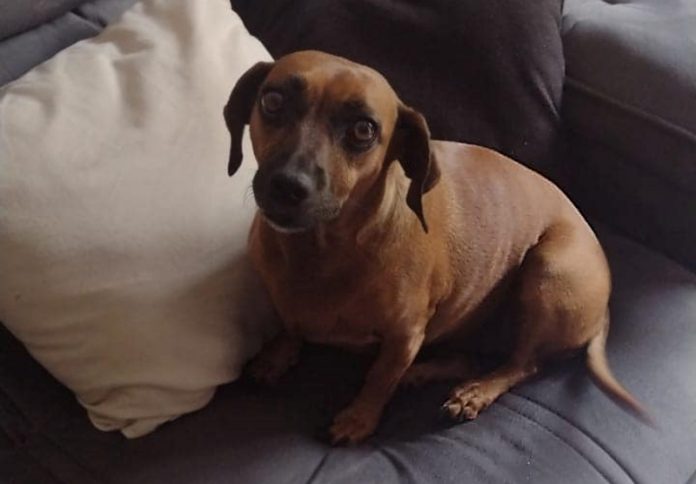 458946255_122156241338247592_6295934247652061681_n