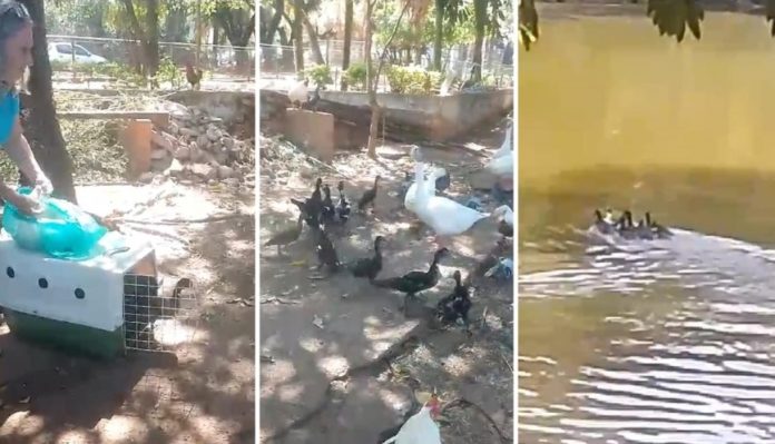 459689906_122157586934247592_5039968156261735273_n-side