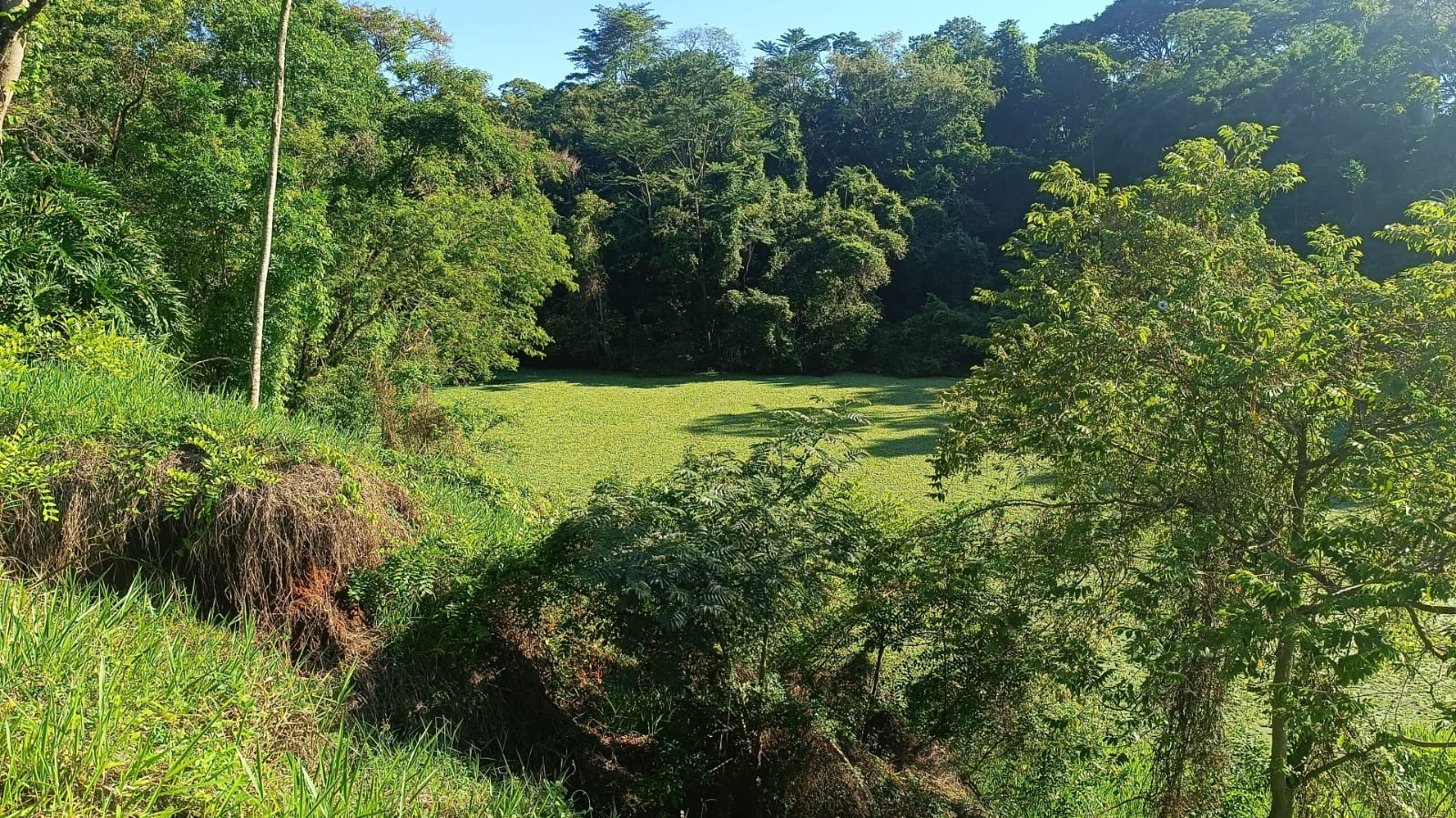 Noticias de Araras | ROMU intensifica buscas com drone por idoso de 79 anos desaparecido visto na Zona Rural de Araras, SP Noticias de Araras | ROMU intensifica buscas com drone por idoso de 79 anos desaparecido visto na Zona Rural de Araras, SP