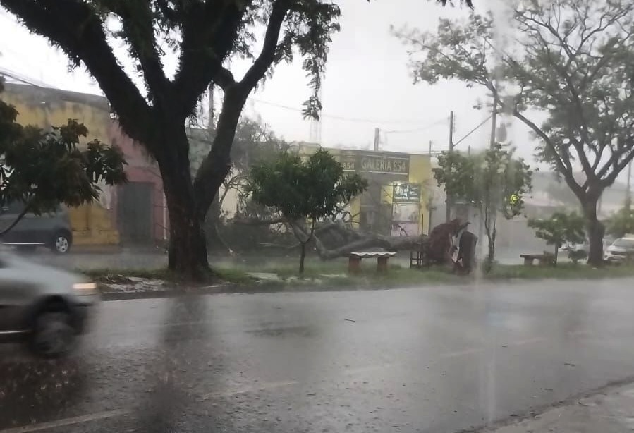 Noticias de Araras | Forte tempestade provoca alagamentos, quedas de árvores e falta de energia em Araras, SP