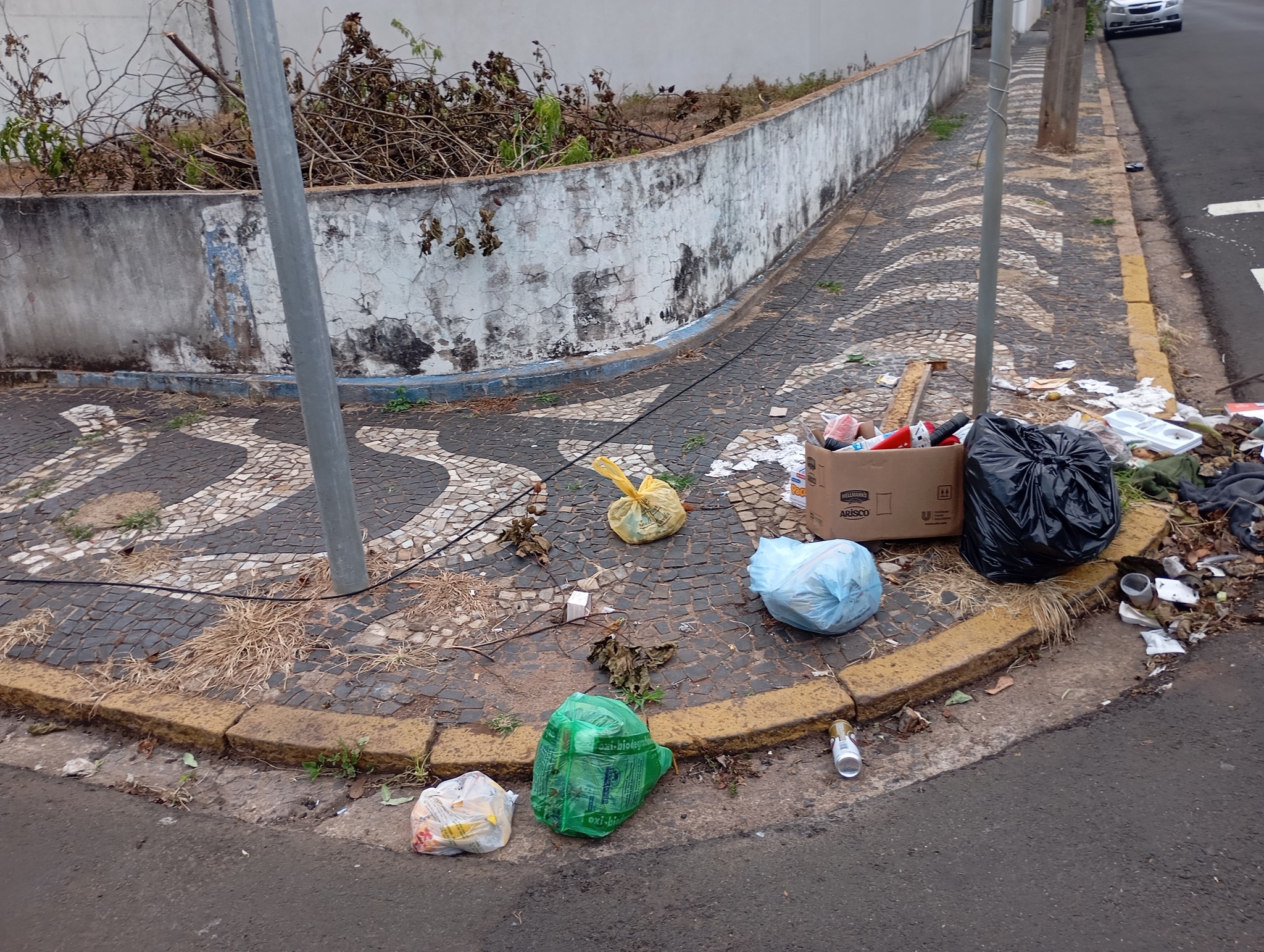 Noticias de Araras | Moradora denuncia descarte irregular de lixo e galhos em terreno limpo no Centro de Araras, SP Noticias de Araras | Moradora denuncia descarte irregular de lixo e galhos em terreno limpo no Centro de Araras, SP