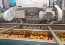 Sucorrico abre vaga para Ajudante Geral em Araras, SP